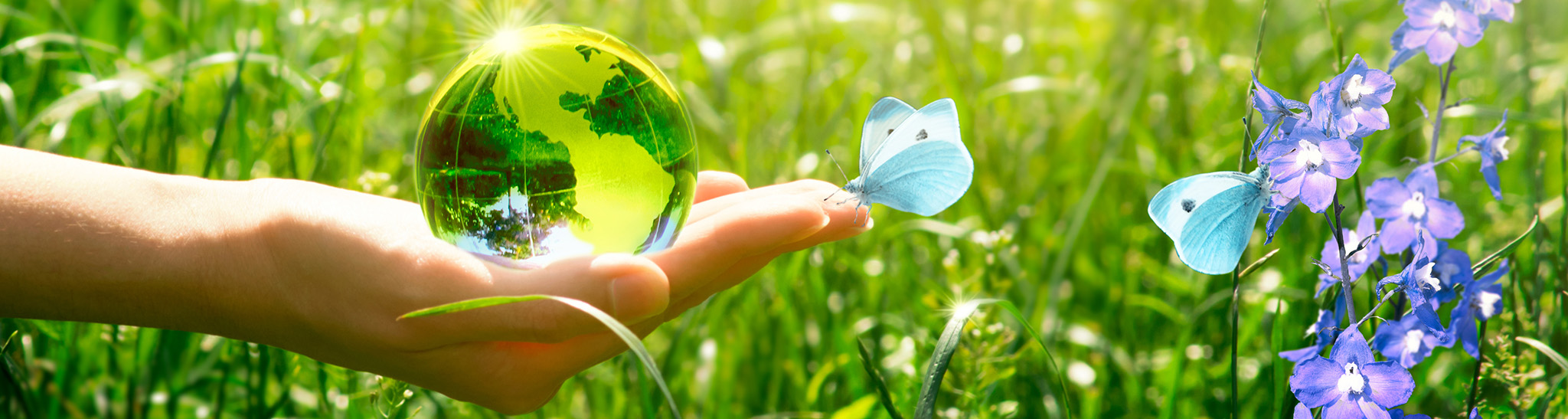 Earth crystal glass globe and butterfly with blue wings in human hand on grass and bluebell flowers background. Saving environment and clean green planet concept. Card for World Earth Day concept.